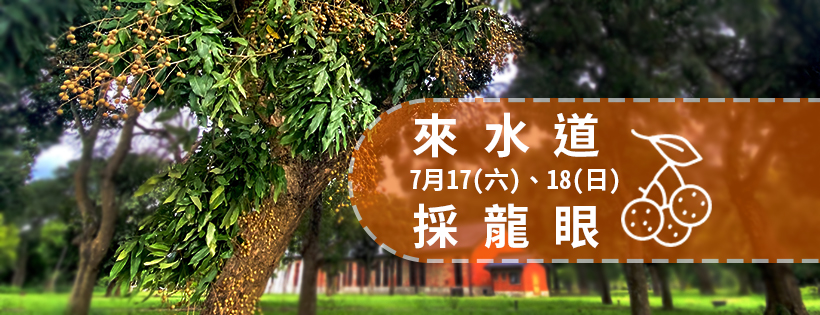 7月17日至7月18日 來水道 採龍眼